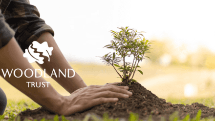 Simply Shredding Supports The Woodland Trust