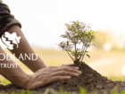 Simply Shredding Supports The Woodland Trust