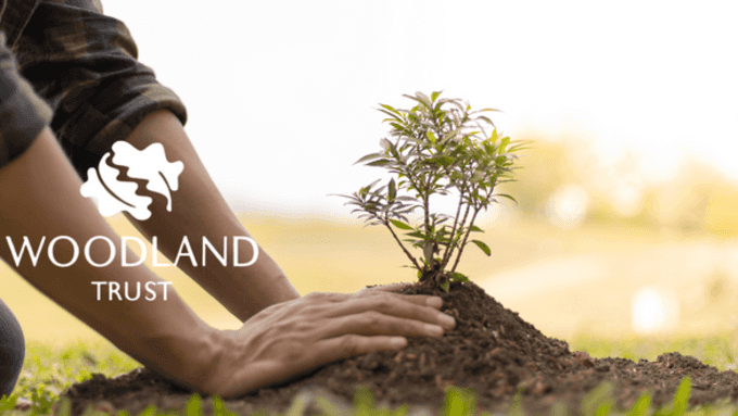 Simply Shredding Supports The Woodland Trust